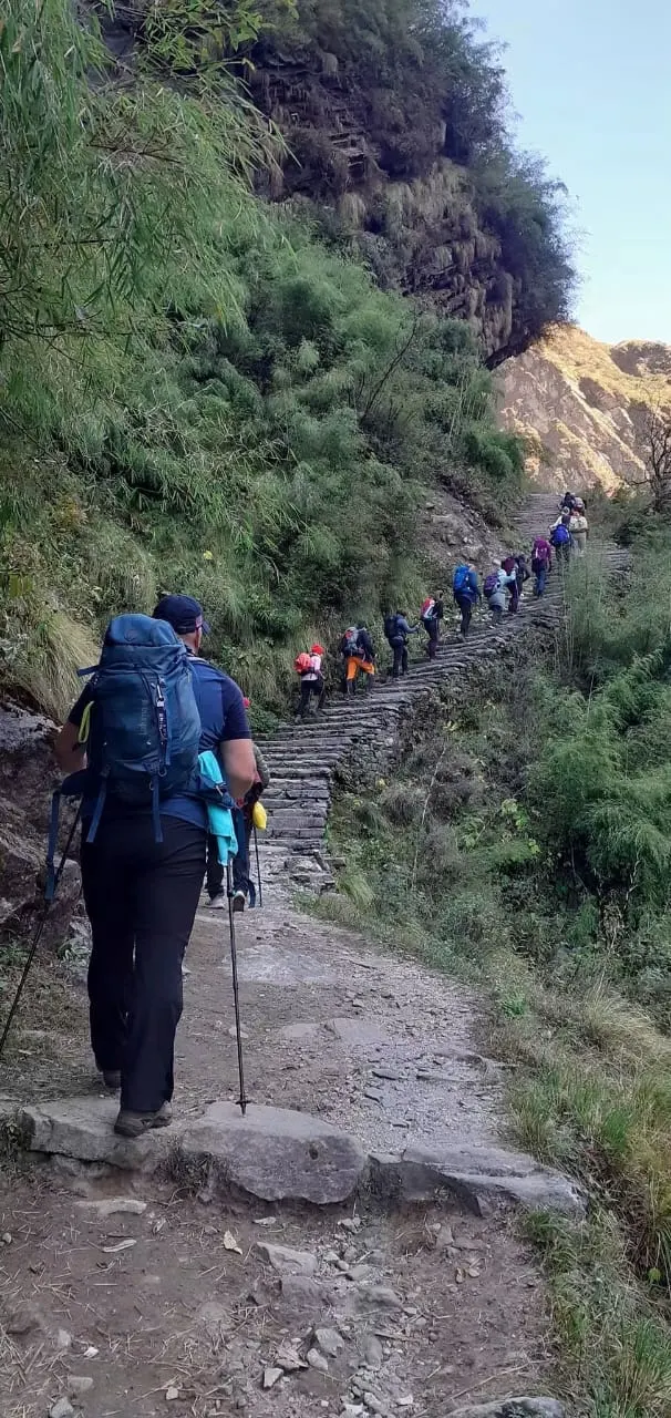 A line of trekkers on a stone path along a forested hillside