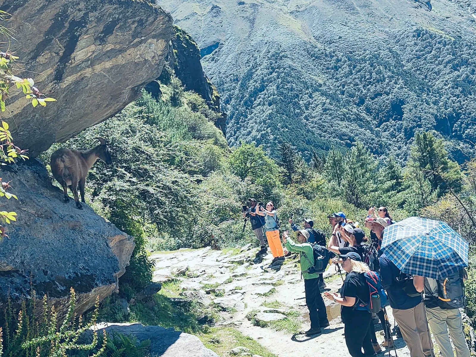 Trekkers on a forested stone path beneath a large overhanging rock