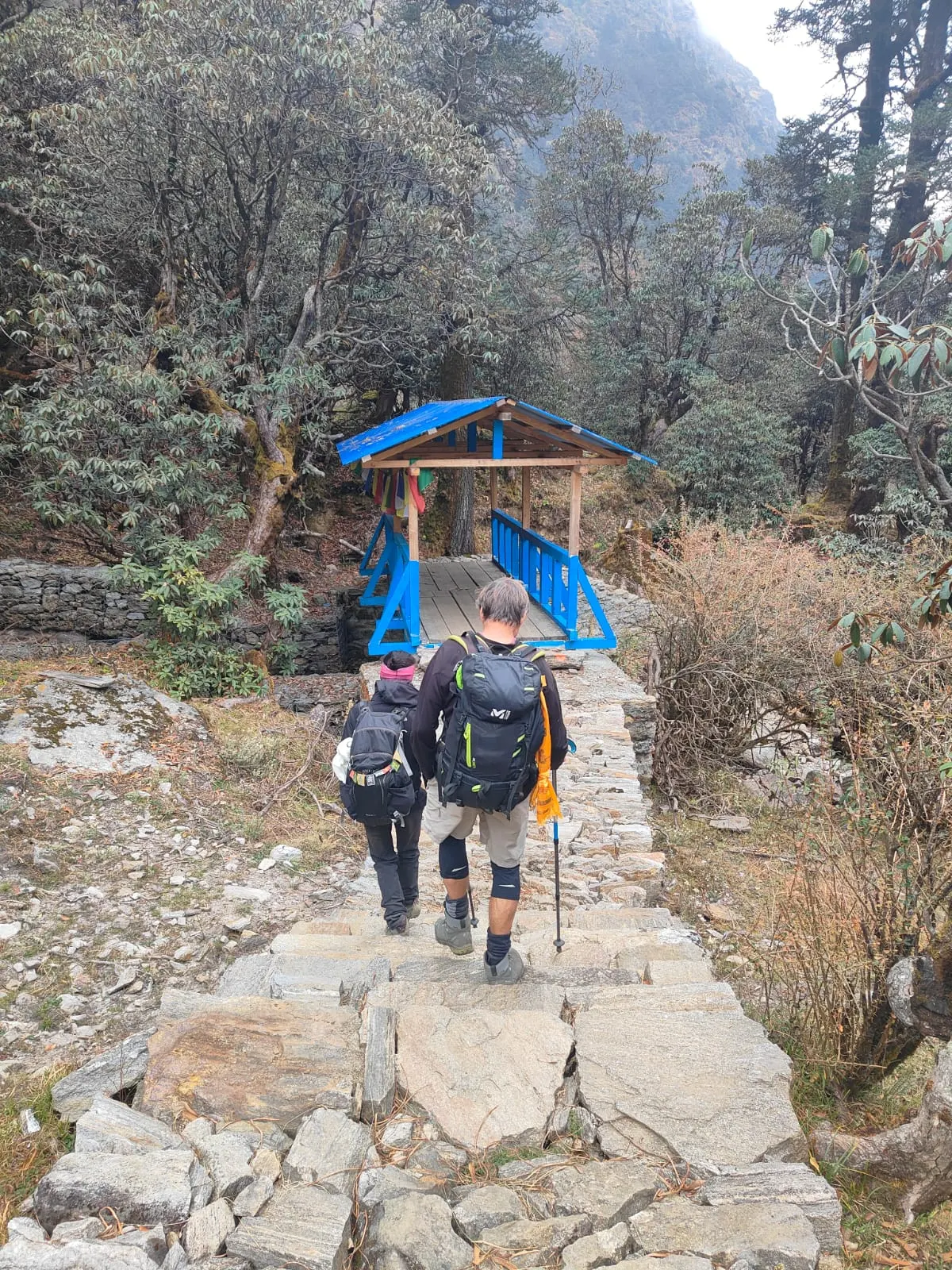 Trekkers walking up a stone path towards a blue wooden shelter in the forest